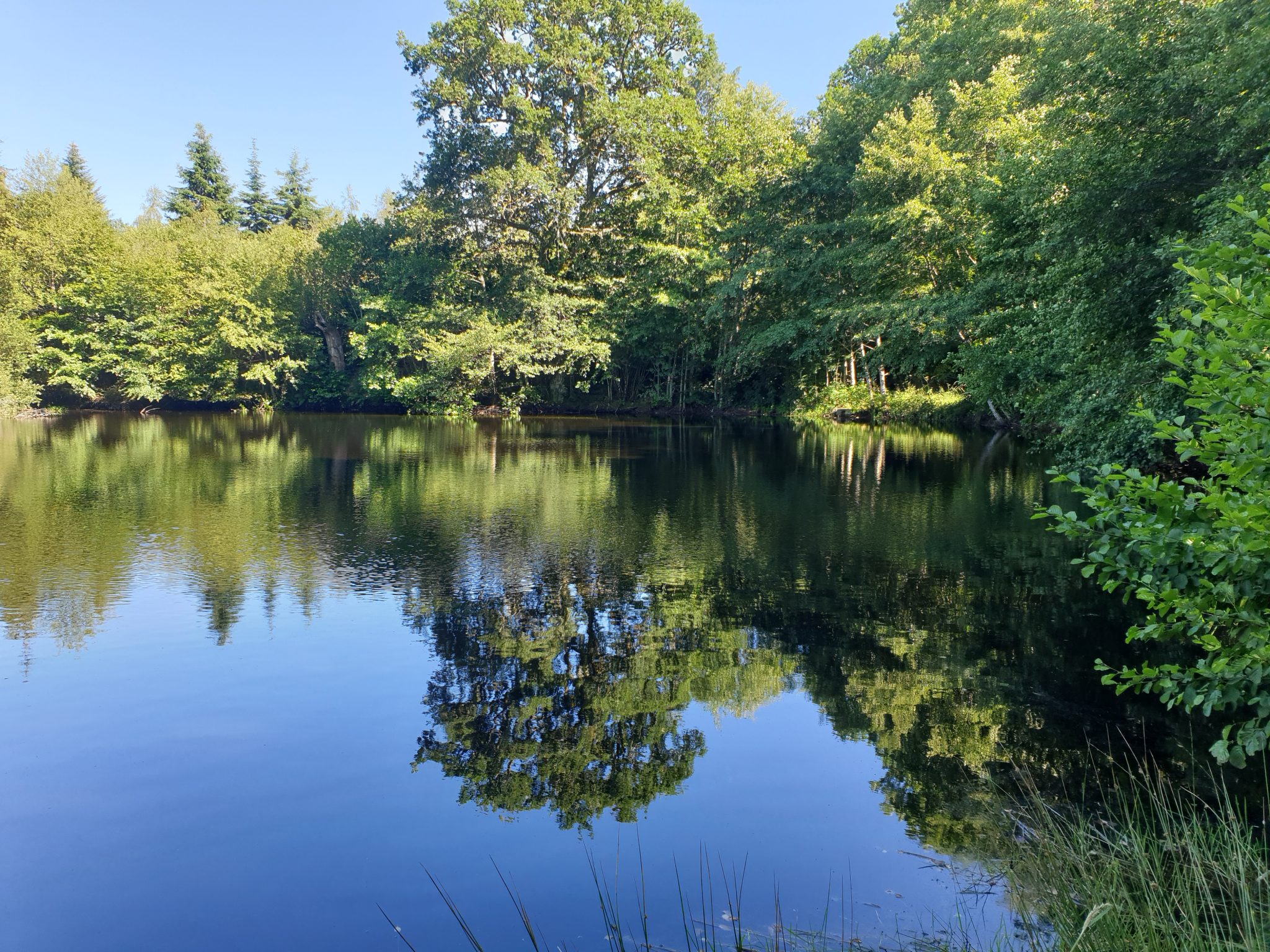 Forêts à vendre, tous nos domaines forestiers IFP